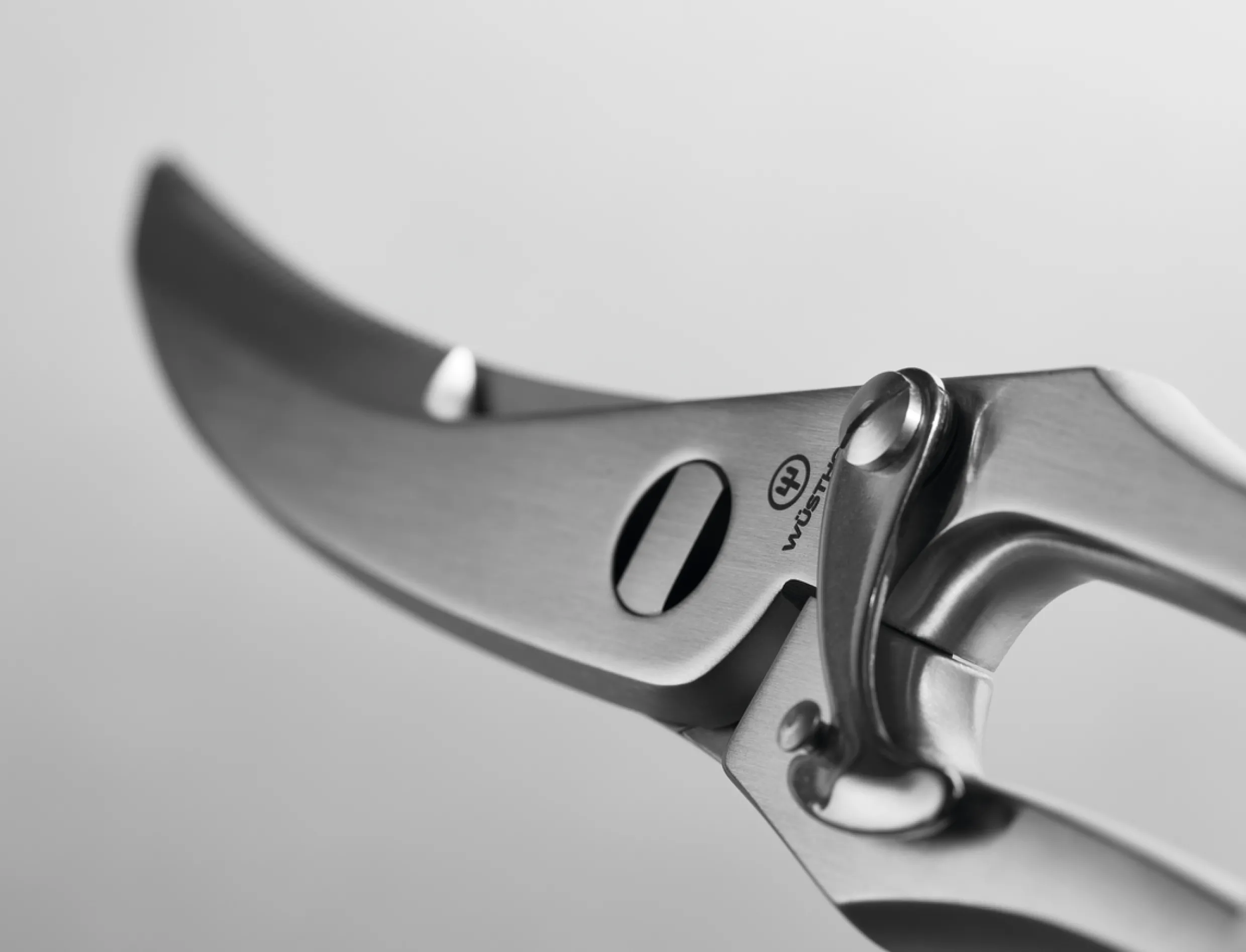 9" Stainless Steel Poultry Shears