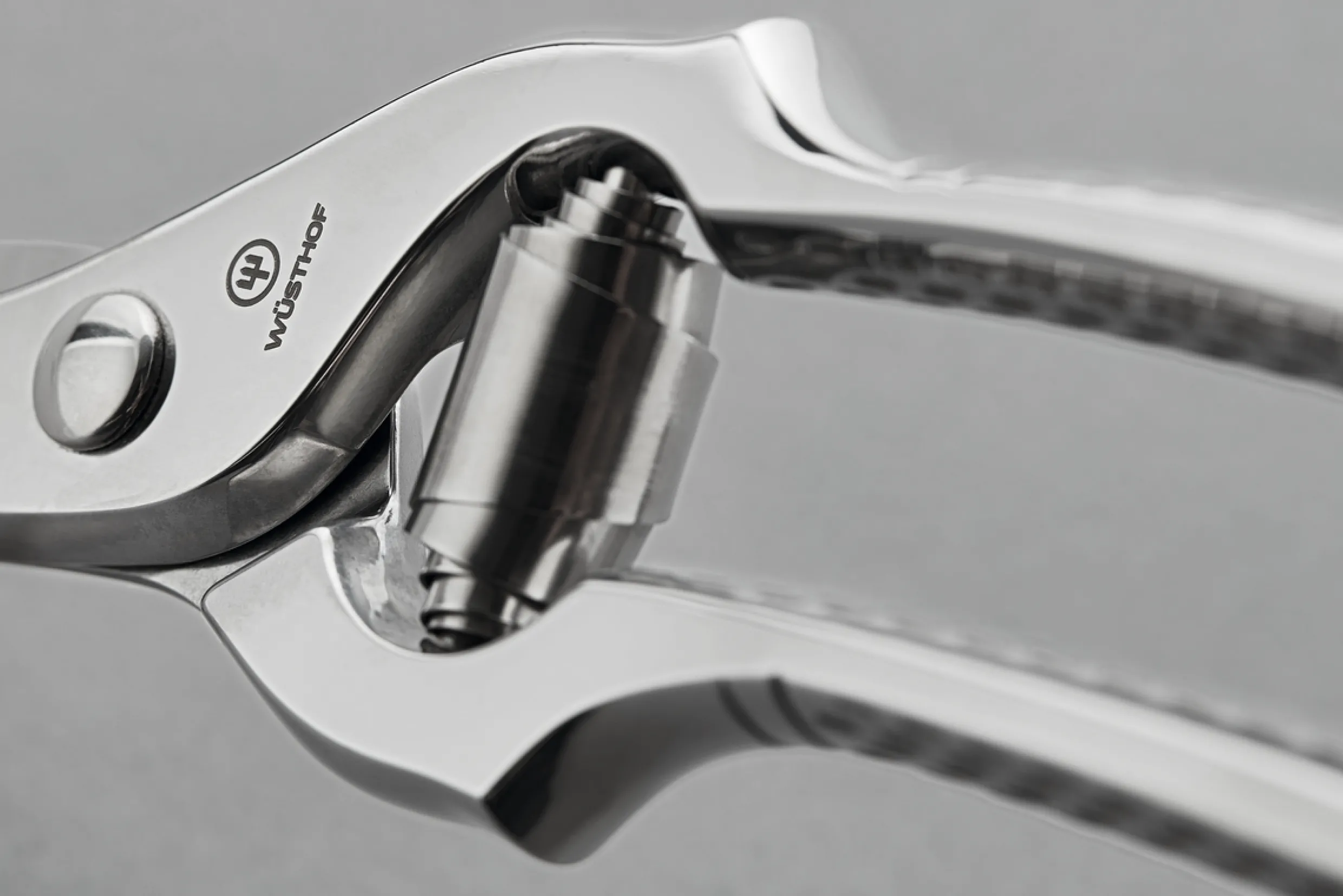 10" Stainless Steel Poultry Shears