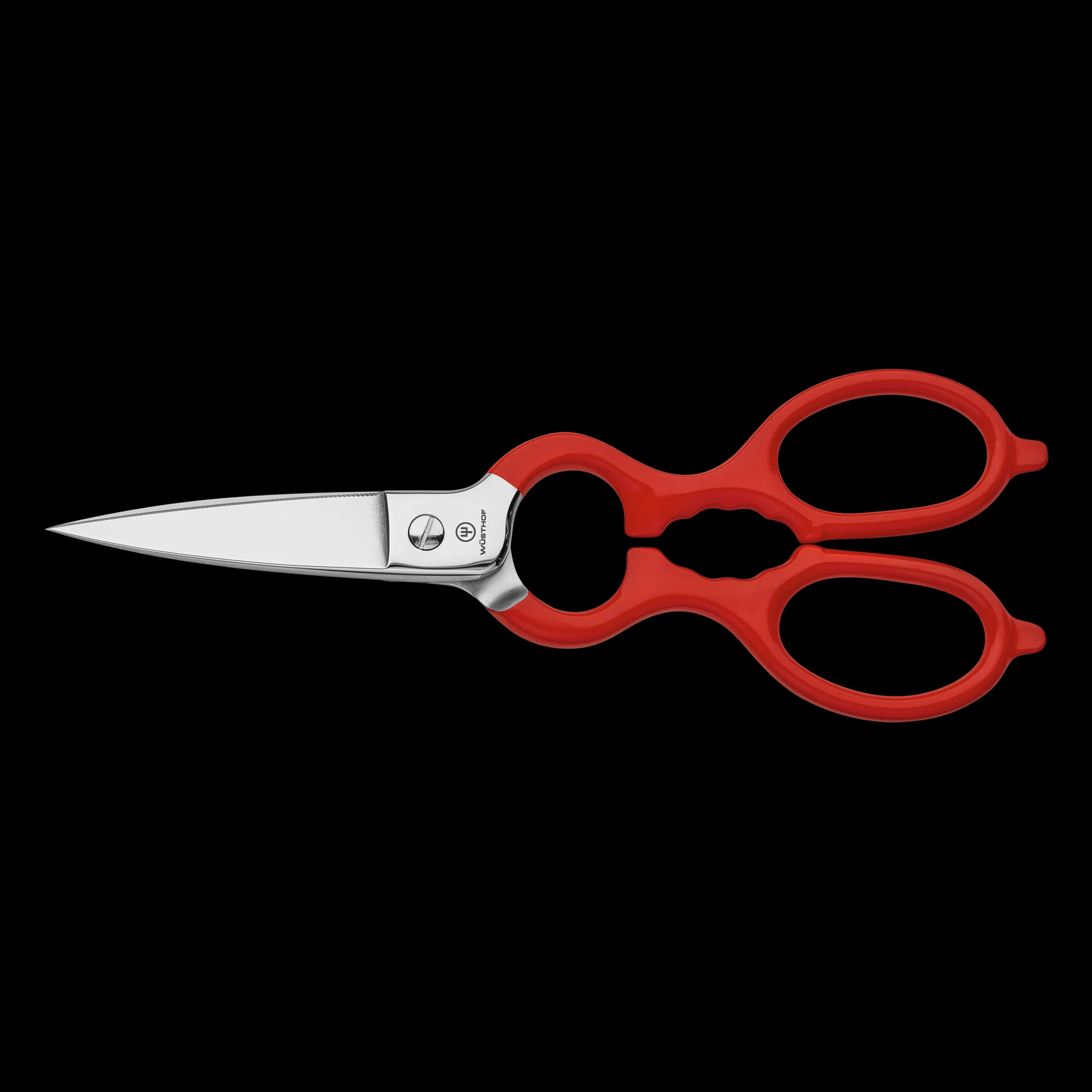 Stainless Kitchen Shears with Synthetic Grips