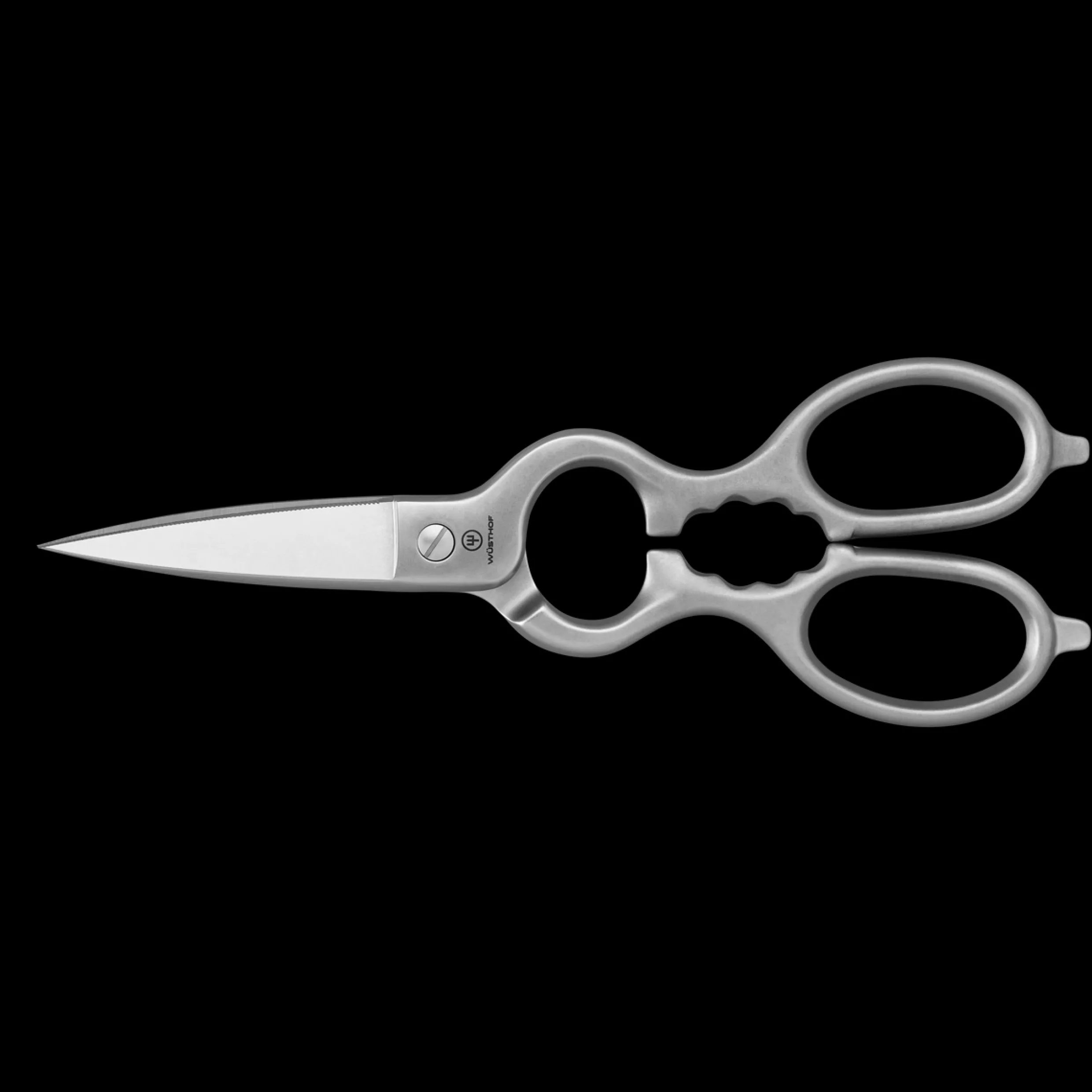 Stainless Kitchen Shears