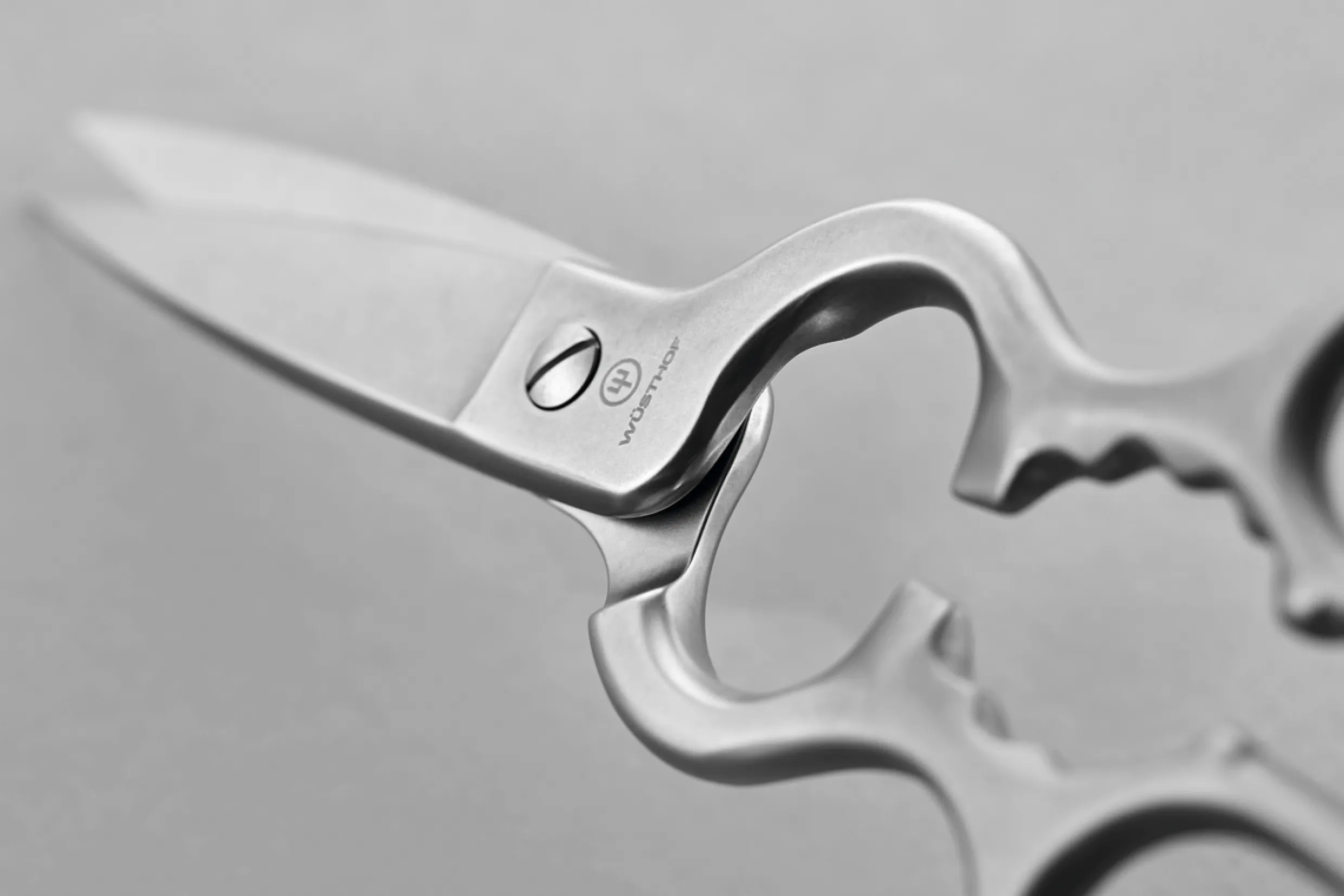 Stainless Kitchen Shears