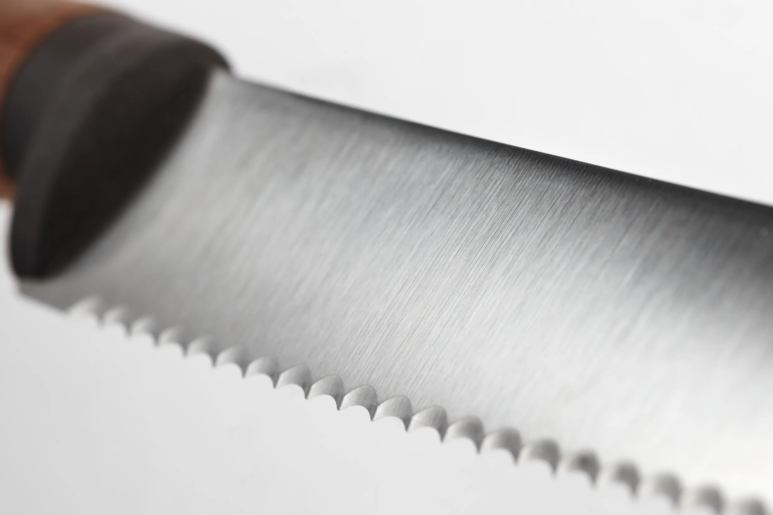 Urban Farmer 5" Serrated Utility Knife